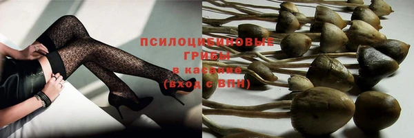кокаин колумбия Белокуриха