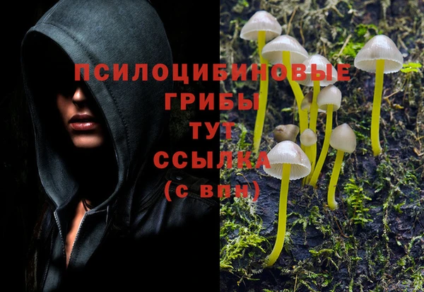 кокаин колумбия Белокуриха